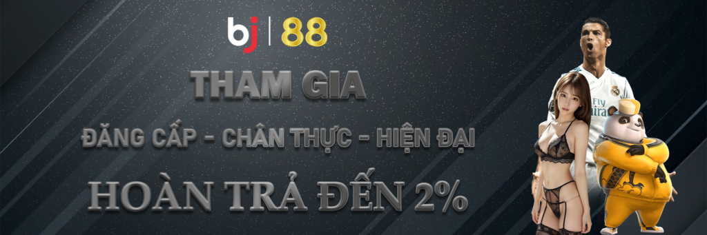 Banner BJ88