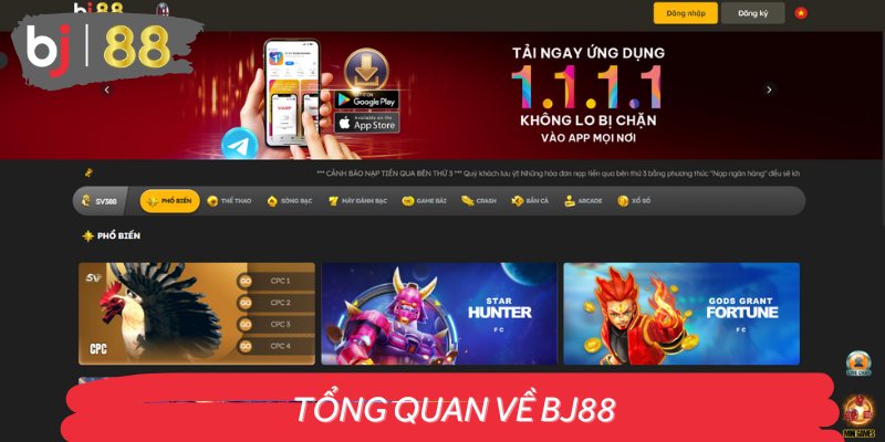 Thông tin sơ lược về chúng tôi - nhà cái uy tín số một